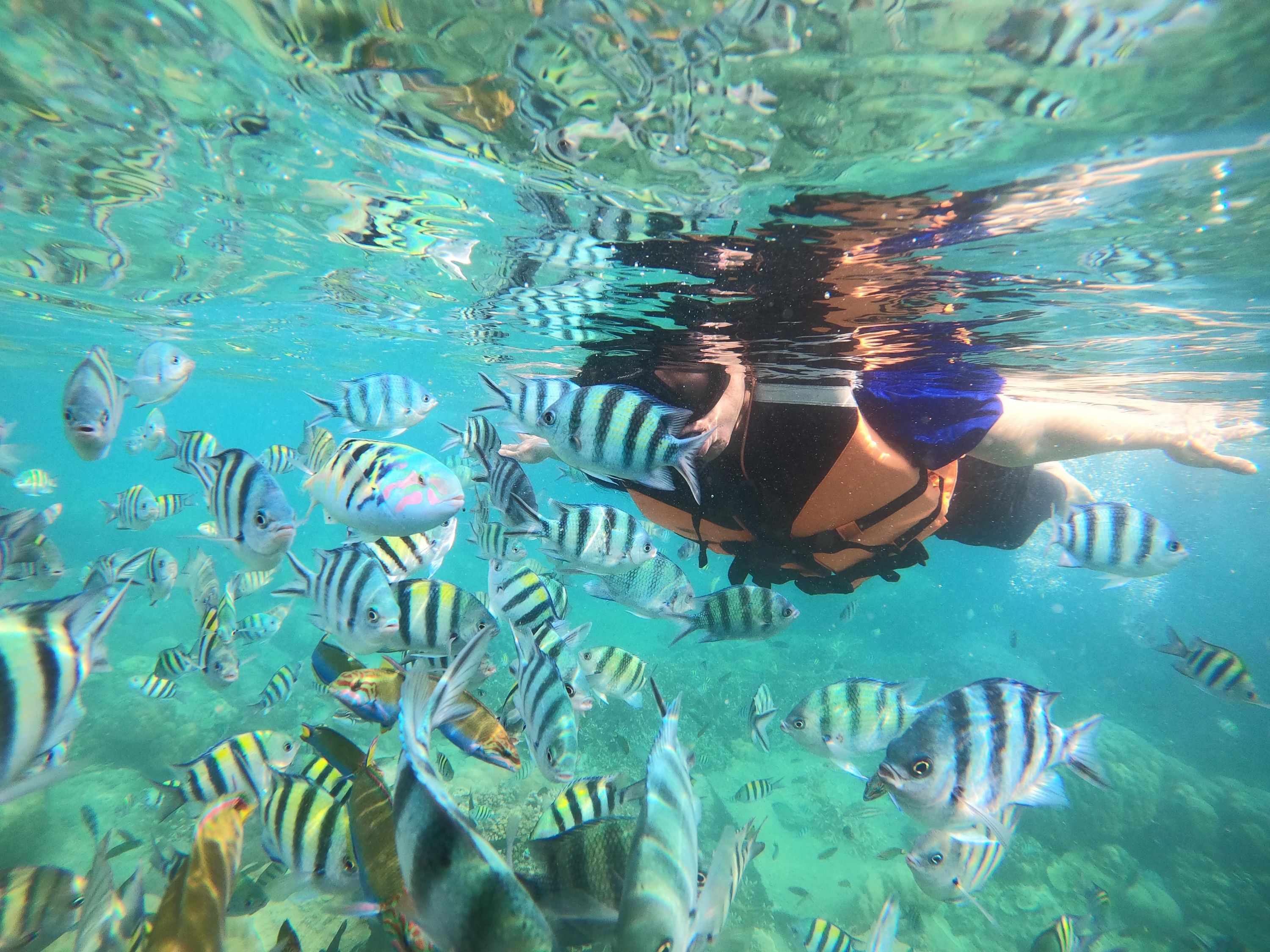 日惹恩拉波海滩浮潜之旅