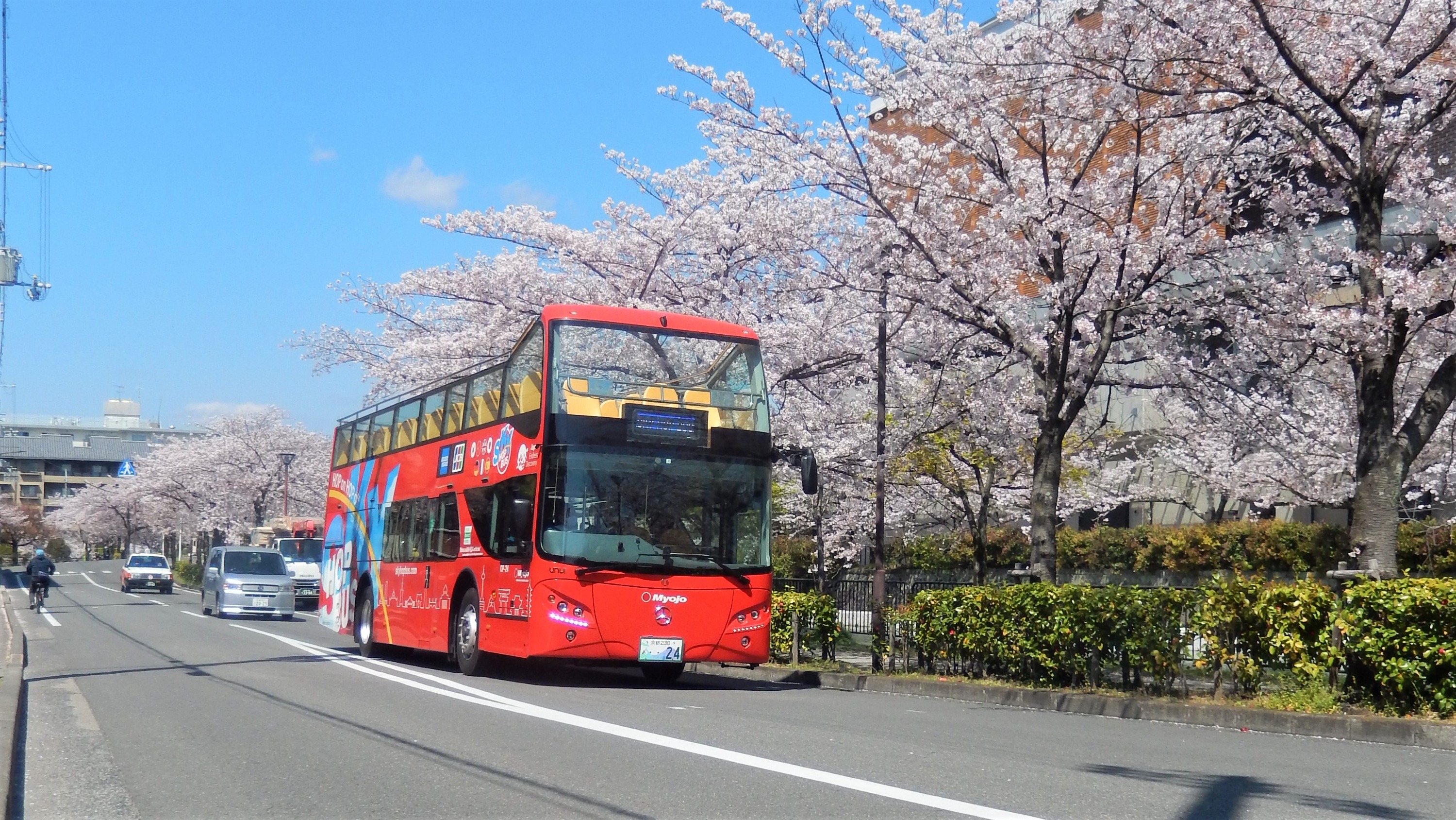 京都随上随下观光巴士（Skyhop Bus 公司提供）（1 日／2 日票）
