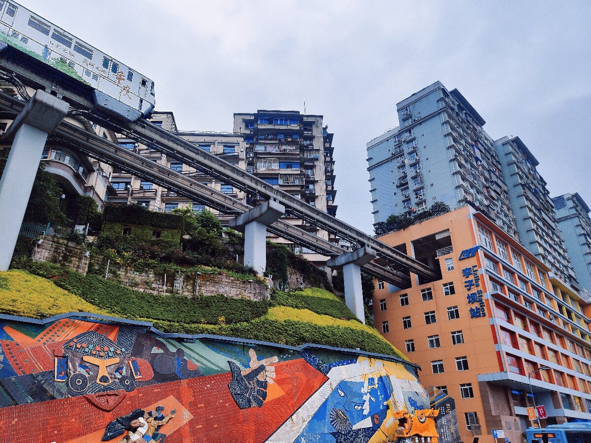 重庆8小时包车一日游