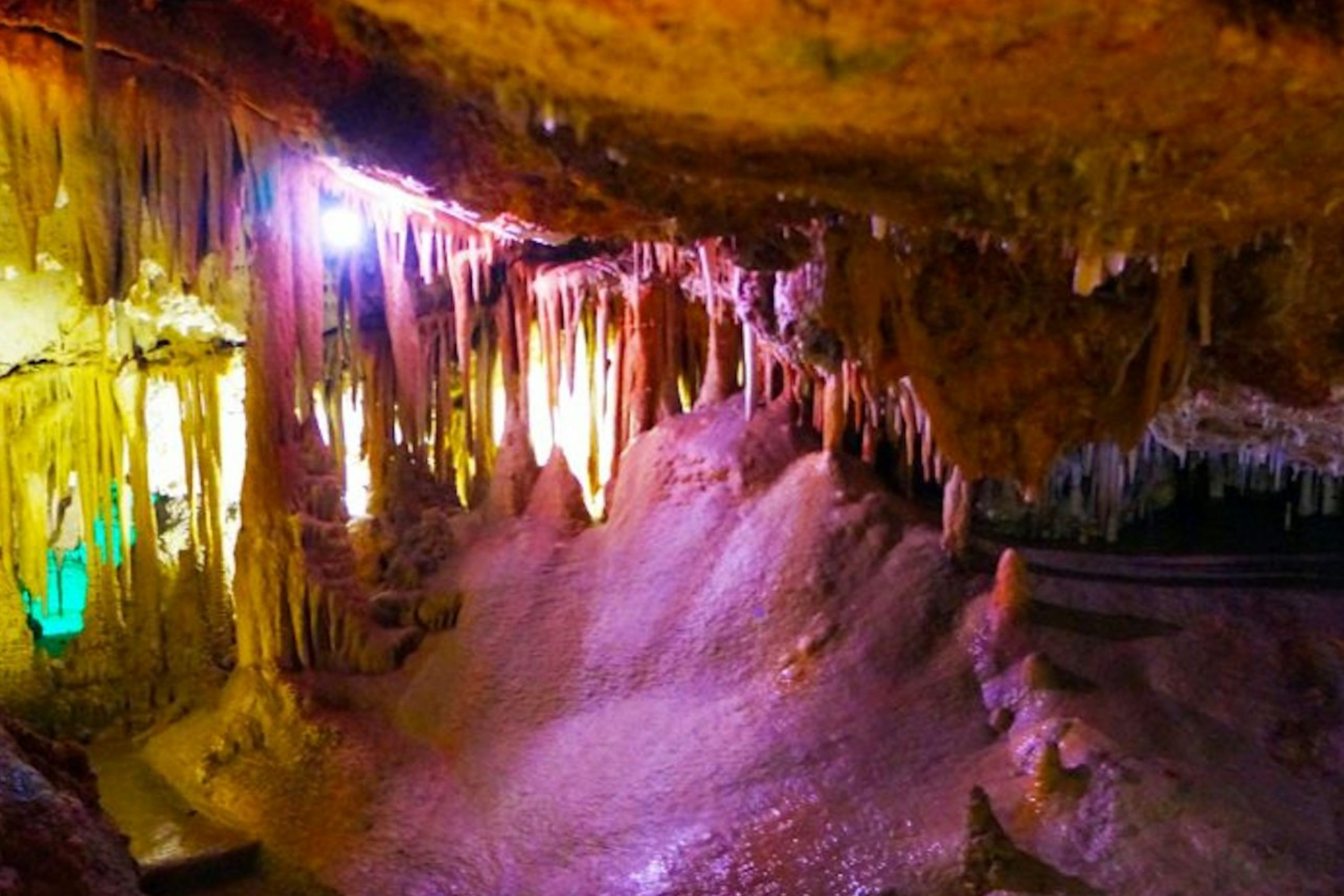 热那亚洞穴门票（帕尔马）