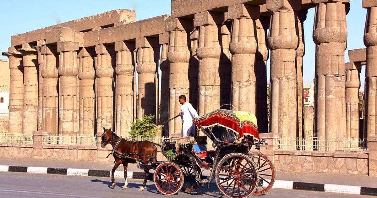 享受3小时卢克索马车之旅