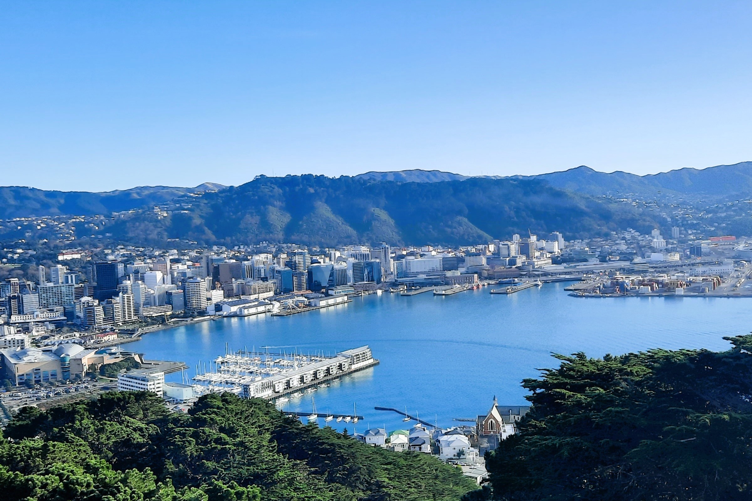 惠灵顿特色景点中文导游半日游