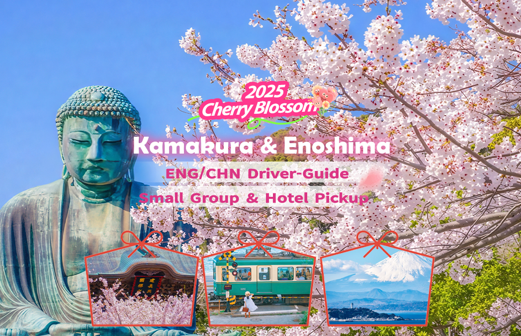 从东京出发：镰仓大佛和江之电电车一日游