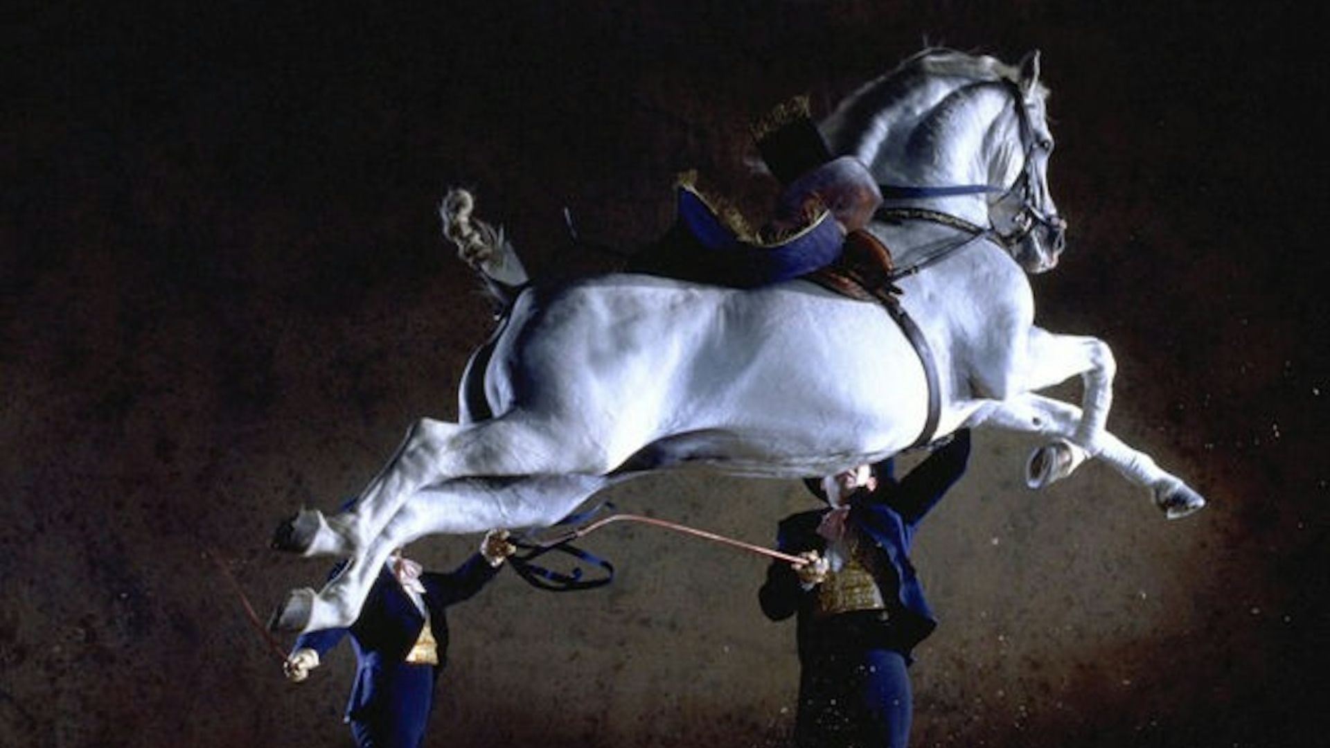 赫雷斯德拉弗龙特拉安达卢西亚马术表演门票
