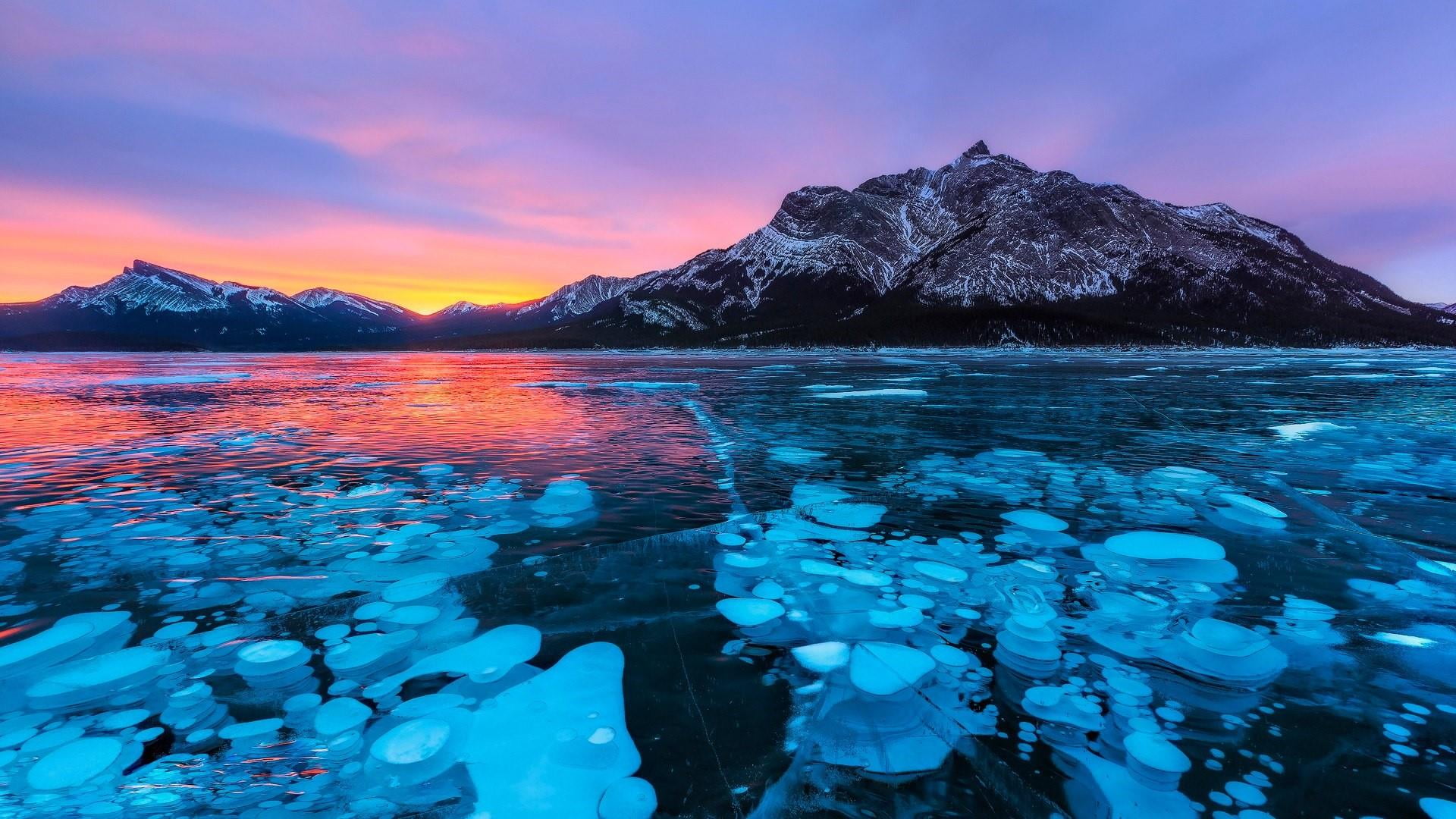 佩托湖和亚伯拉罕湖冰泡之旅 (Peyto Lake & Ice Bubbles at Abraham Lake Frozen Journey)