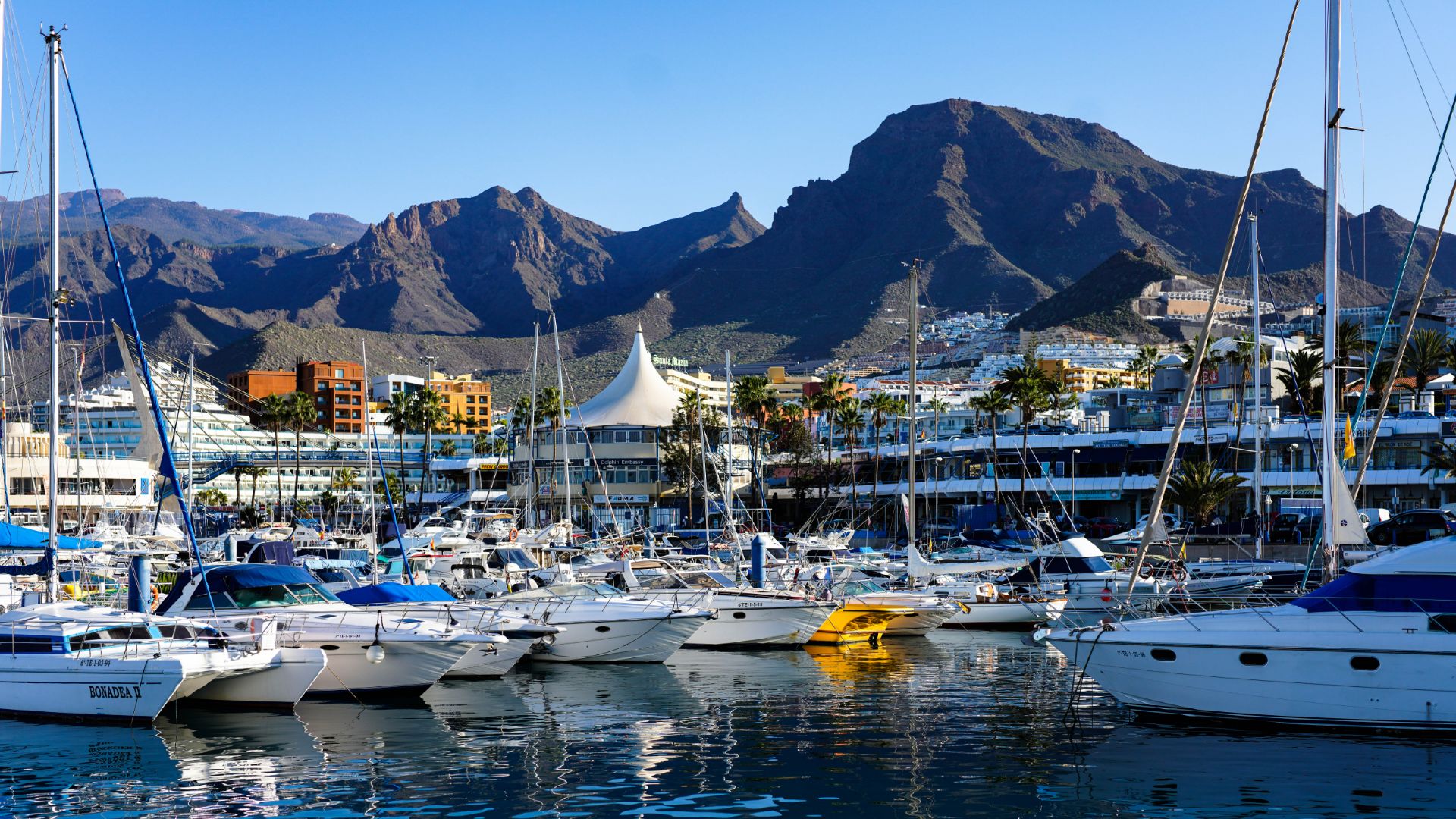 特内里费岛秘密火山嘟嘟车之旅