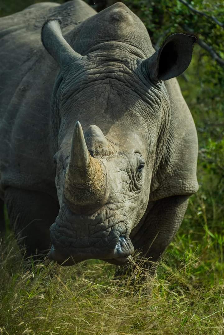 奥尔佩杰塔保护区2日游