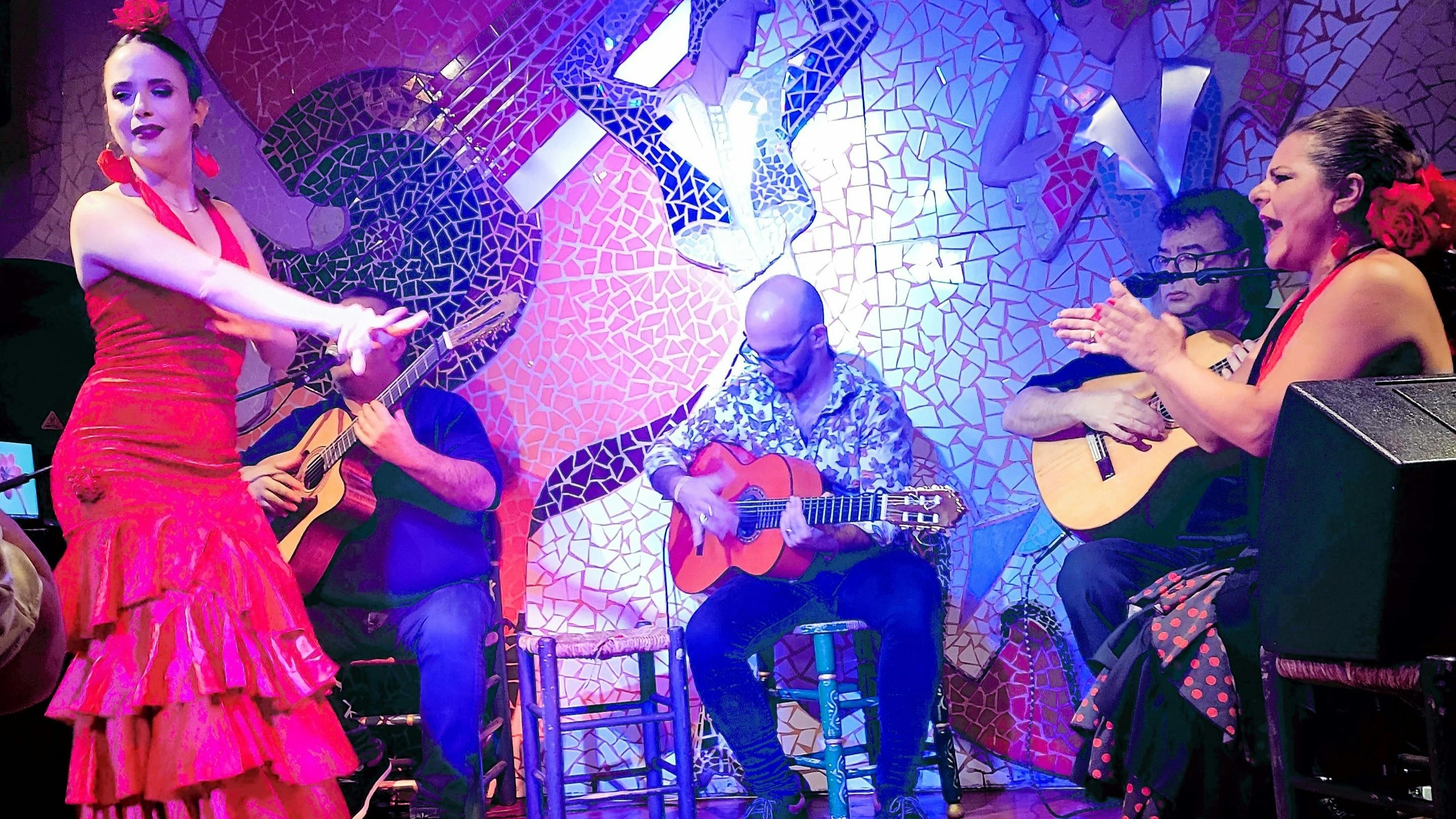 瓦伦西亚埃尔托罗伊拉卢娜弗拉门戈舞表演门票 (El Toro y la Luna tablao flamenco show ticket in Valencia)