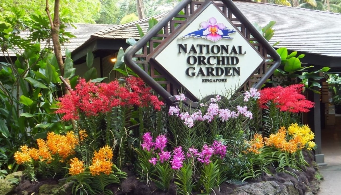新加坡国家兰花园 (National Orchid Garden Singapore)