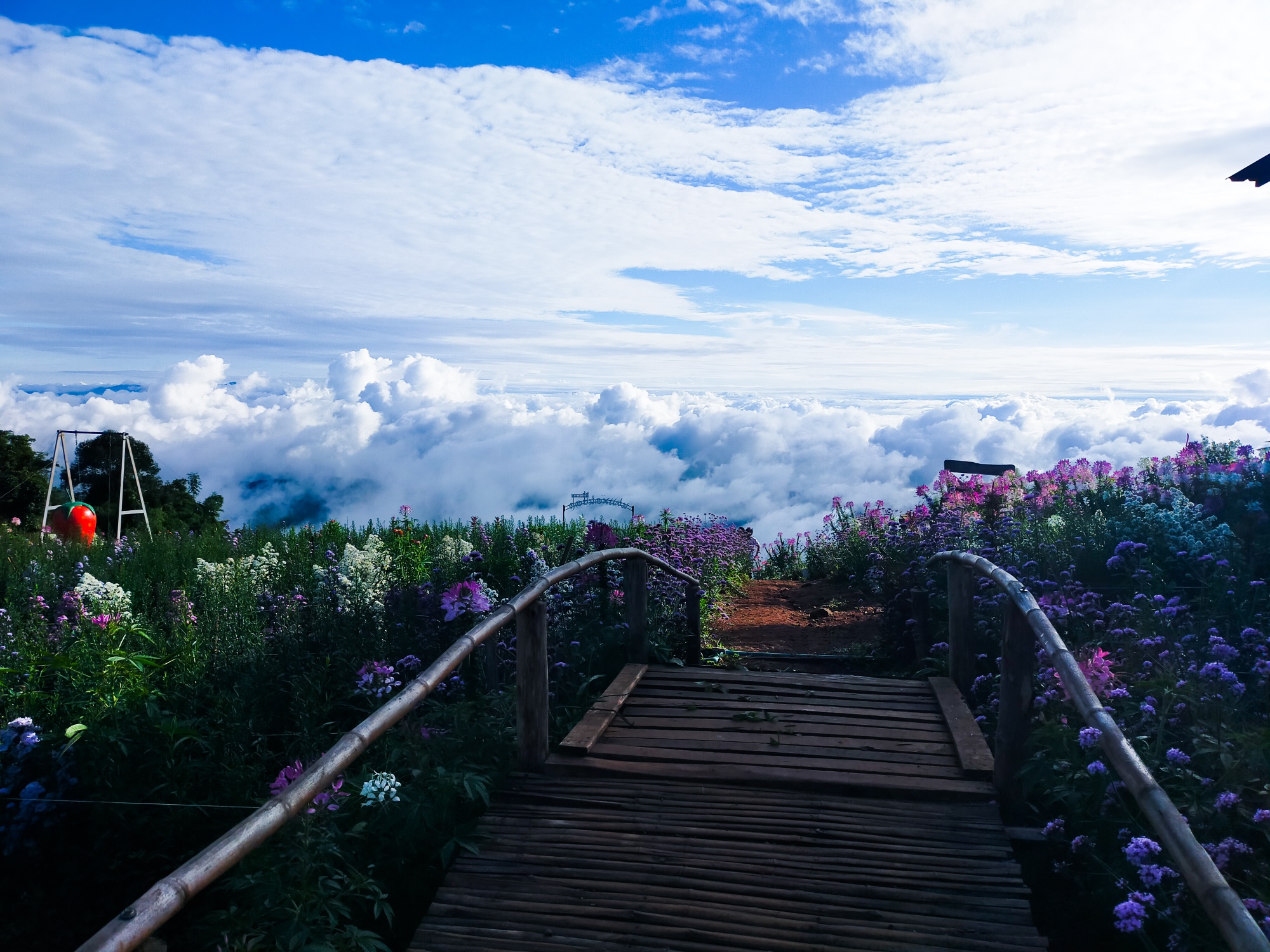 清迈 (Chiang Mai)：梦酱和蓬洋丛林私人一日游