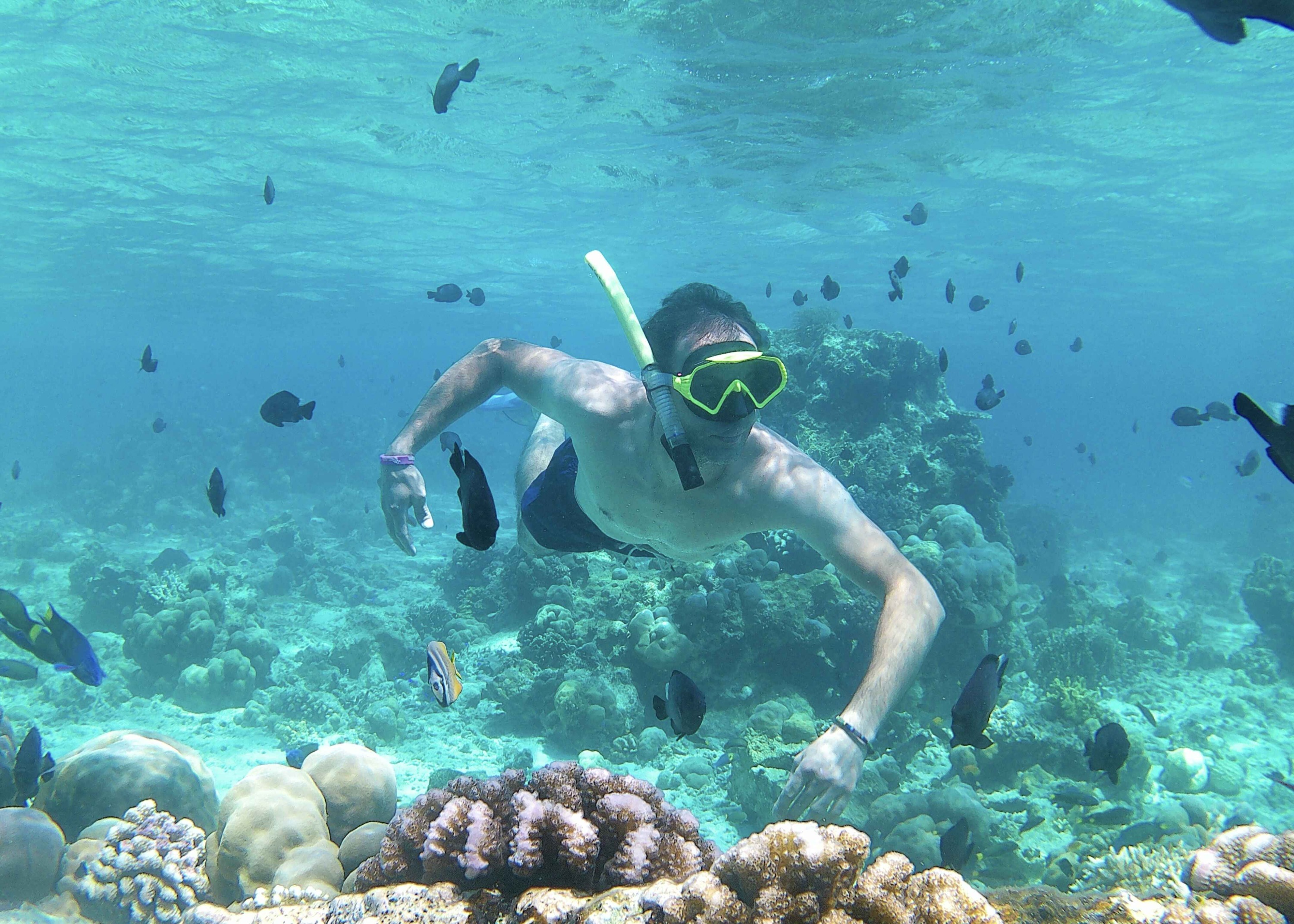 泗水 / 马琅出发 - 图姆帕克塞武瀑布 / 布罗莫火山 / 塔布汉岛一日游