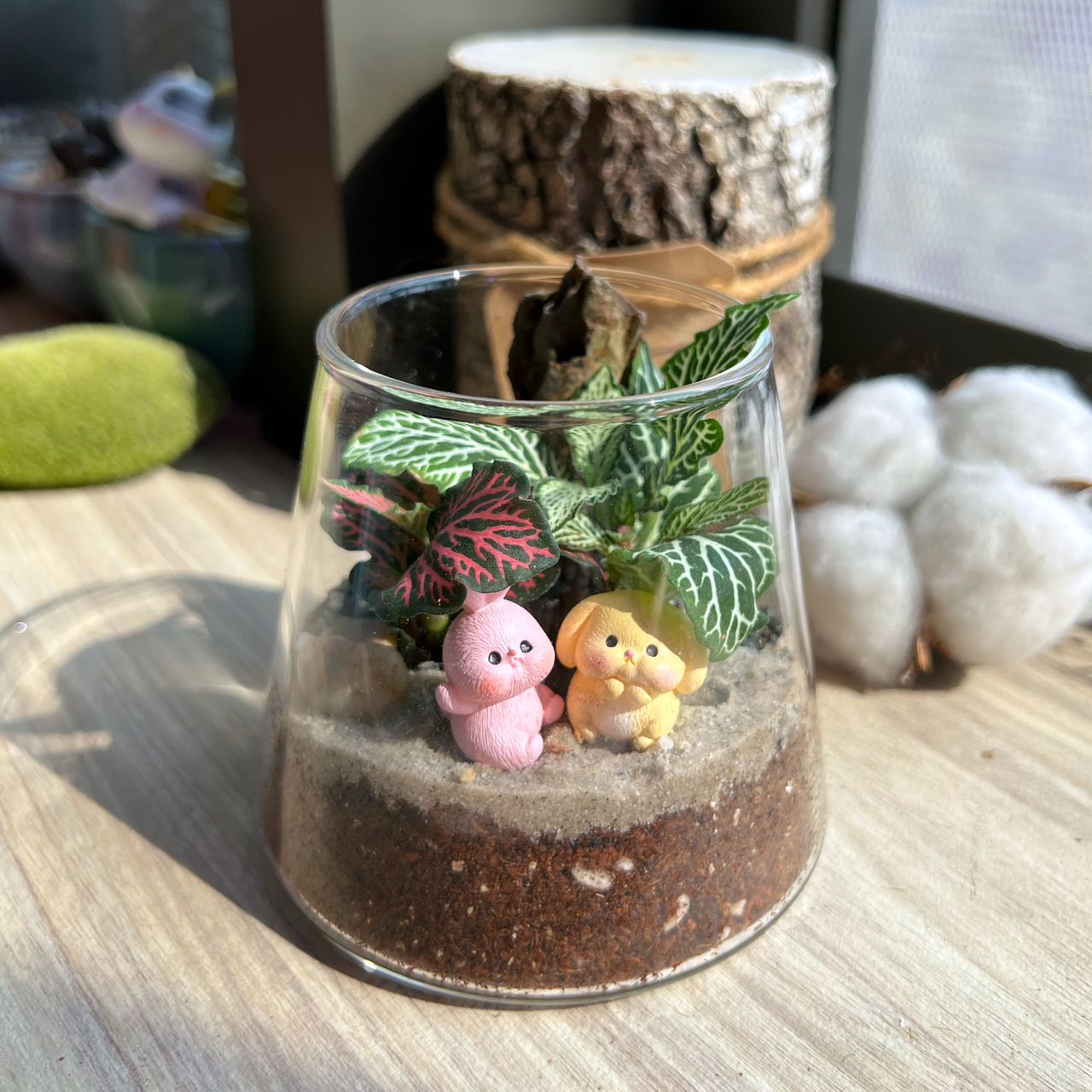 Little Eden Succulents 室内植物与苔藓微景观工作坊