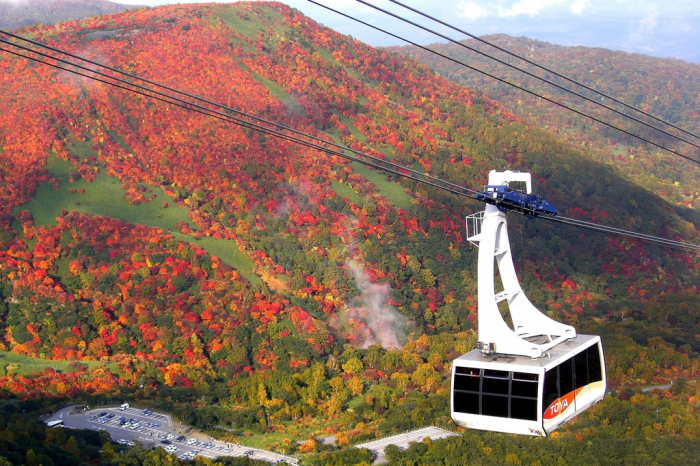 那须高原一日游: 缆车&果子城堡和式午餐&那须温泉 (东京出发)