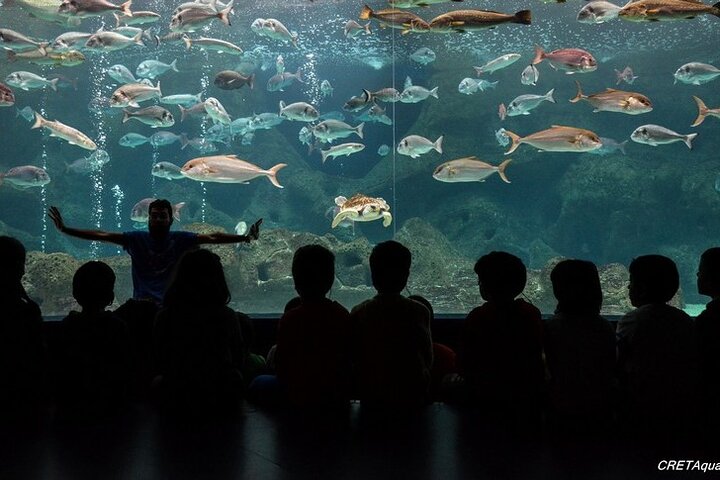 伊拉克利翁家庭游乐园之旅