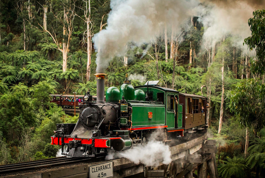 普芬比利蒸汽火车 & 菲利浦岛企鹅游行一日游 (Puffing Billy Steam Train & Penguin Parade Day Tour)