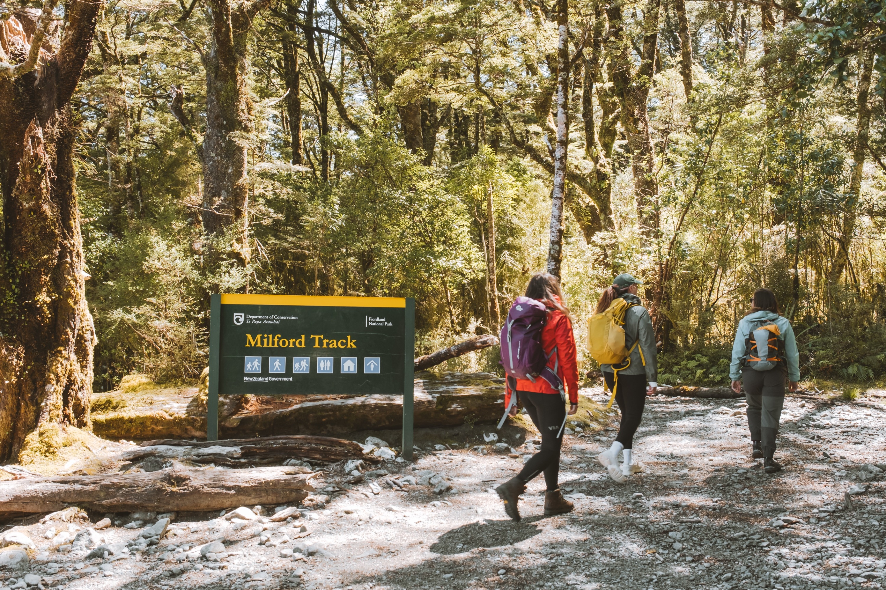 米尔福德步道一日徒步之旅（蒂阿瑙湖出发）