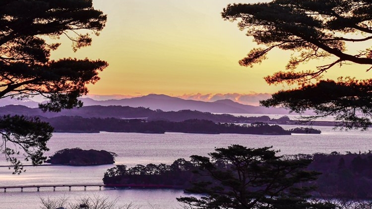 日本三大景之一：松岛 & 中尊寺一日巴士游