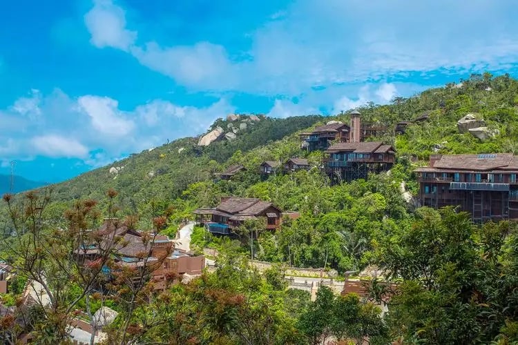 三亚亚龙湾湾热带森林公园 亚龙湾 私人导览一日游