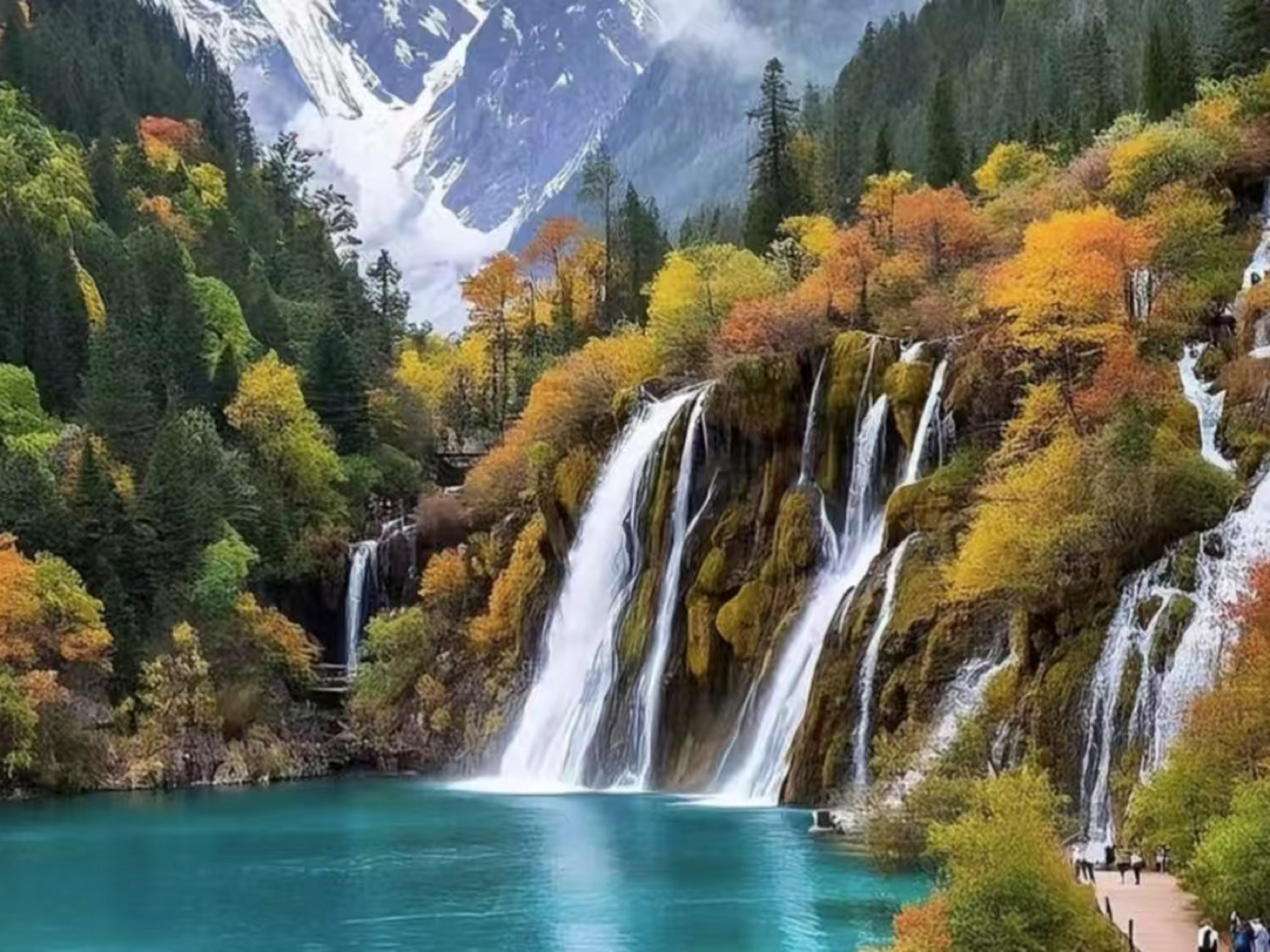 四川省成都九寨沟5天半自由行深度游（熊猫乐园&都江堰+黄龙+九寨沟+特色餐食）