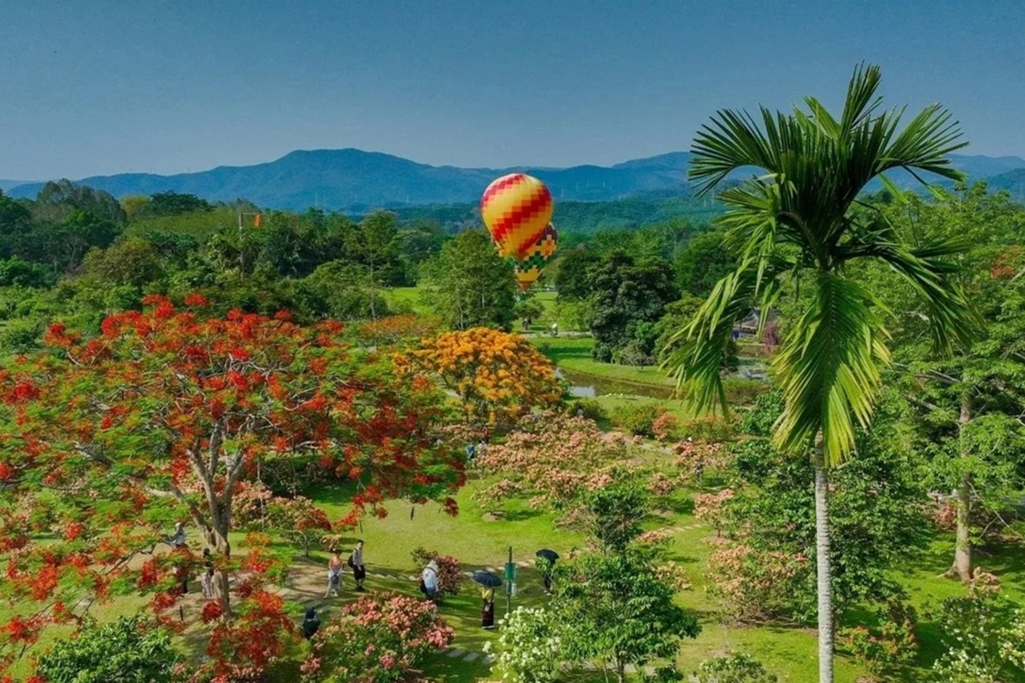 云南西双版纳3天2晚深度游 （中科院植物园+野象谷+星光夜市+花卉园下午茶+孔雀宴+象餐 探索原始森林 感受自然）