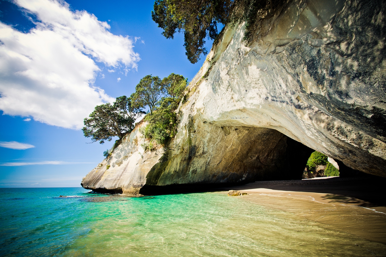 奥克兰出发前往教堂湾和热水海滩的小团体一日游 (Cathedral Cove & Hot Water Beach Small-Group Day Tour from Auckland)