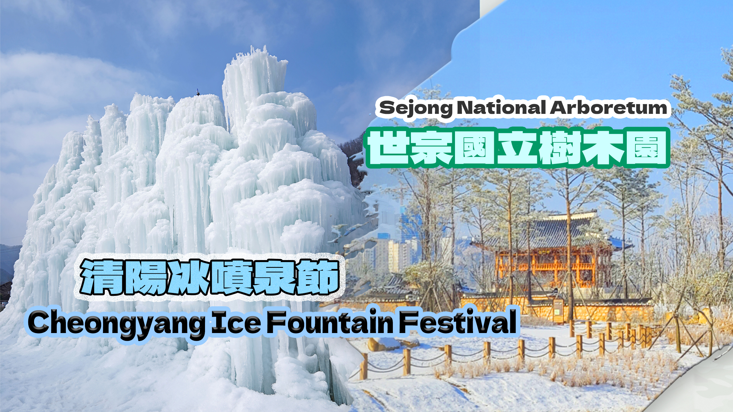 首尔世宗国立植物园 & 清凉台阿尔卑斯村一日游