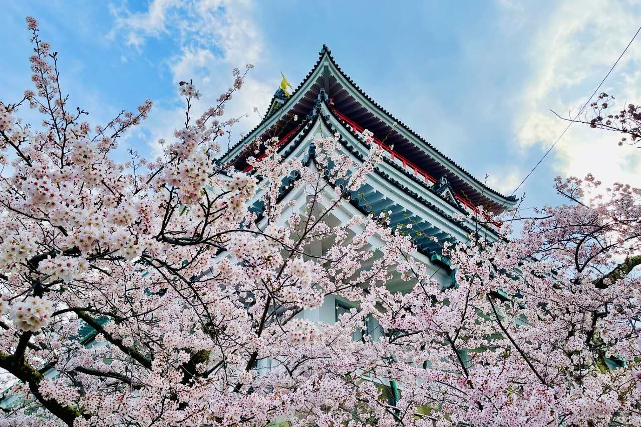 MOA美术馆＆热海阳光沙滩＆热海城一日游（东京出发）