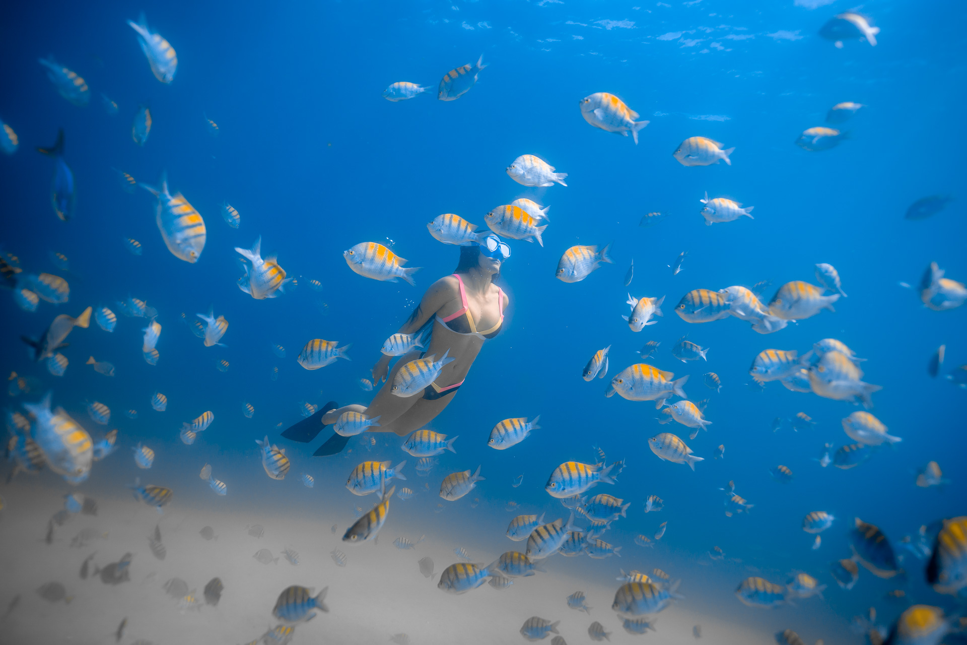 洛斯卡沃斯浮潜之旅：智利诺湾 & 圣玛丽亚湾