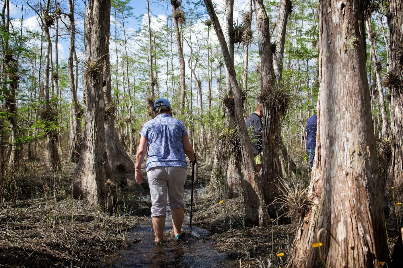 整天：大沼泽湿地探险（Everglades Adventure with a Wet Walk）
