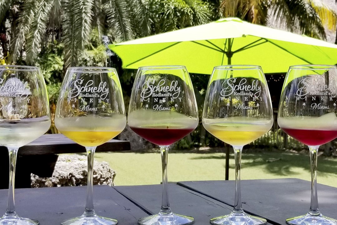 全日热带风情体验