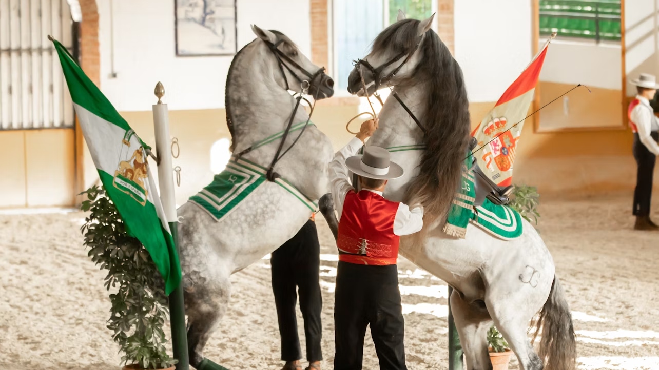 安达鲁西亚马术表演 & 佛朗明哥舞表演（托雷莫利诺斯）