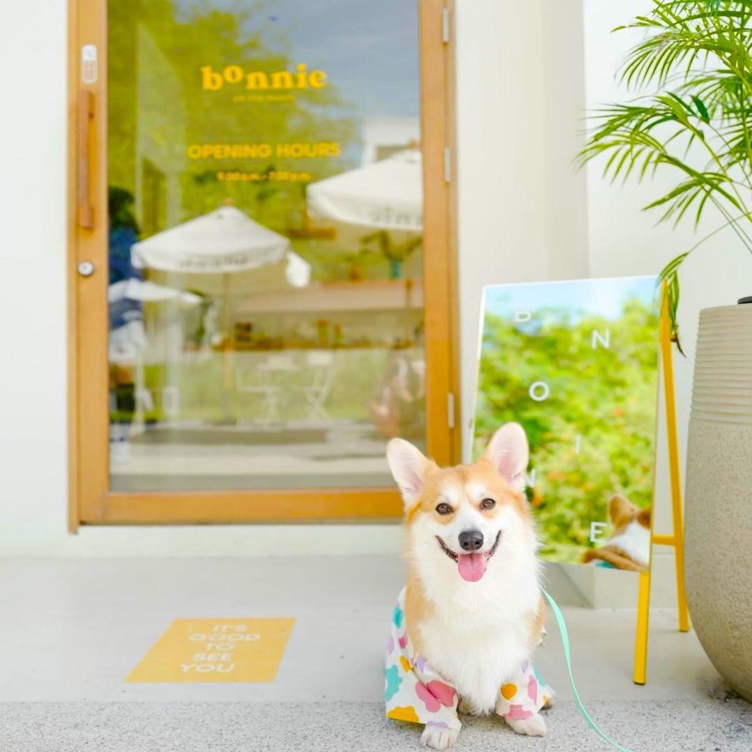 华欣终极海滩咖啡厅之旅