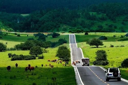 重庆武隆12小时包车一日游/二日游（重庆出发，天生三桥/龙水峡地缝/仙女山/芙蓉洞）