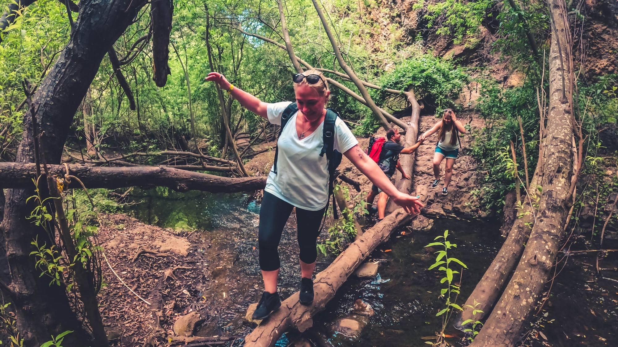 加那利群岛大加那利岛环保雨林徒步之旅