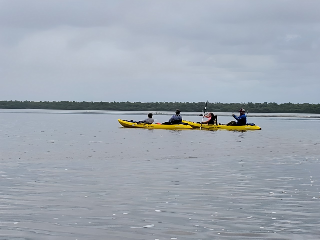 Everglades National Park（ Everglades National Park）皮划艇和自然漫步（含自然学家讲解）
