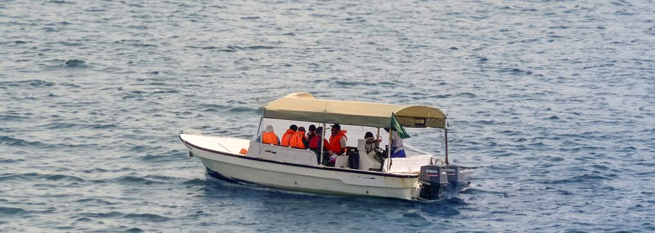 الأخبار岛之旅