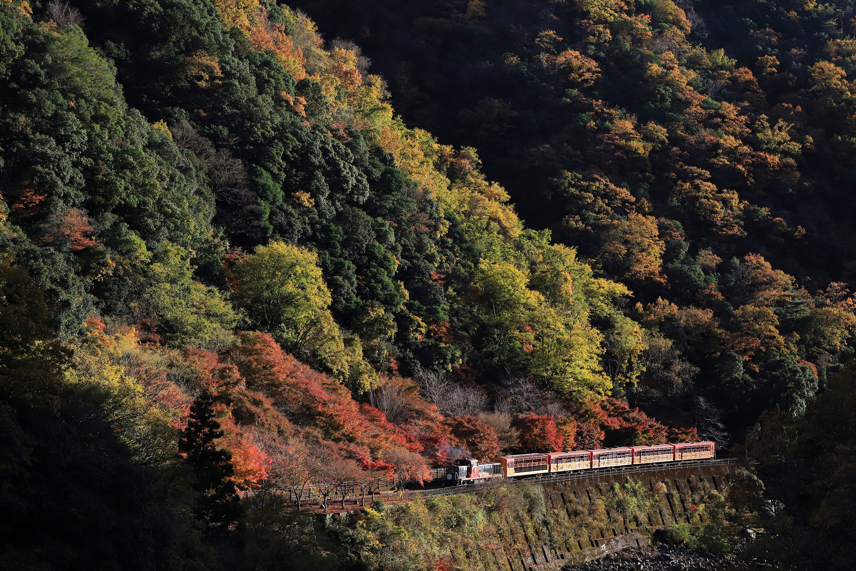 岚山 (Arashiyama) 之旅（可选嵯峨野小火车 (Sagano Romantic Train)  乘坐体验）