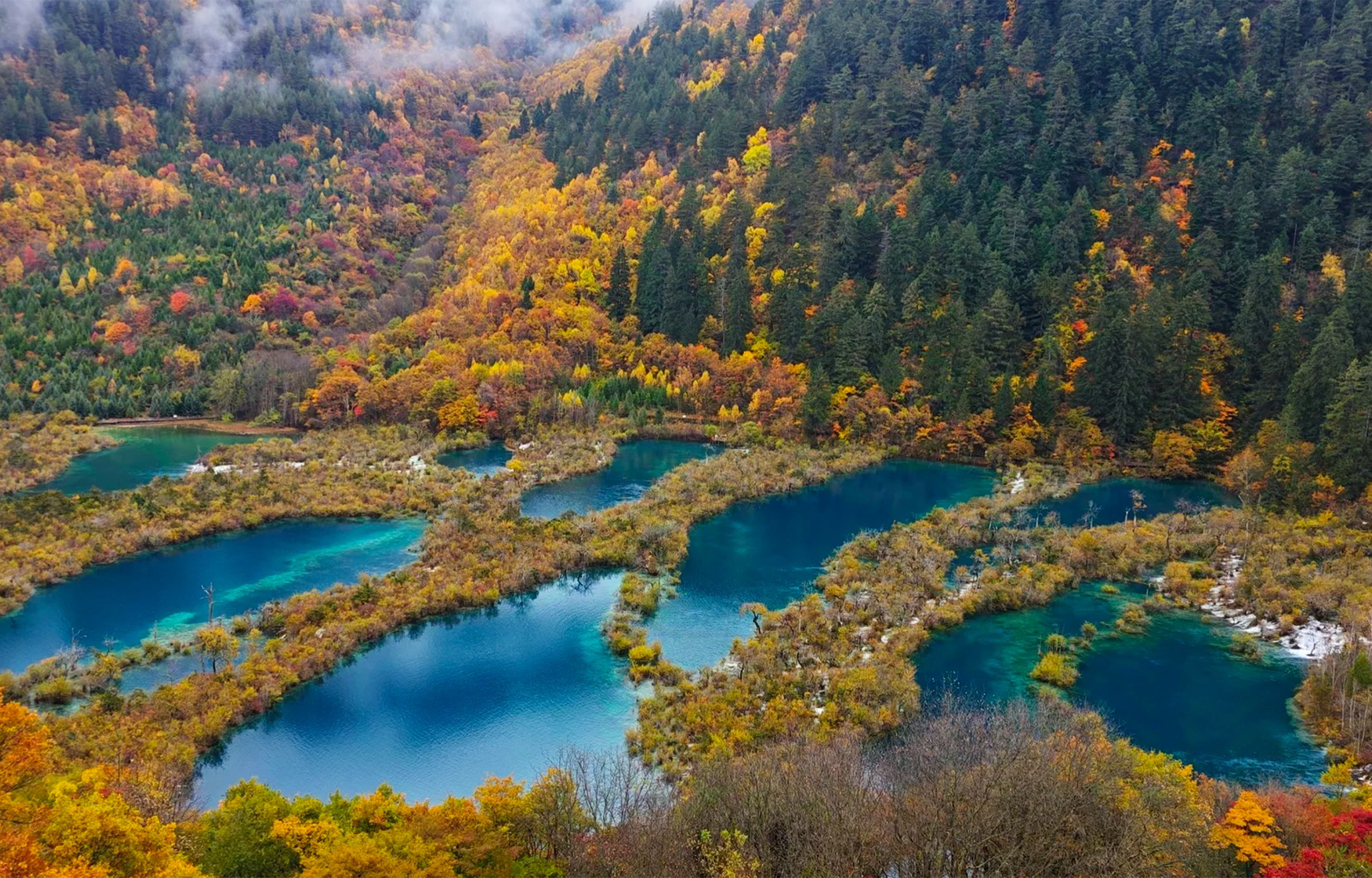 四川成都九寨沟6天5晚高端半自由行（成都自由行+九寨沟2日+黄龙+都江堰+乐山大佛+熊猫乐园+藏式旅拍+雪域牦牛宴）