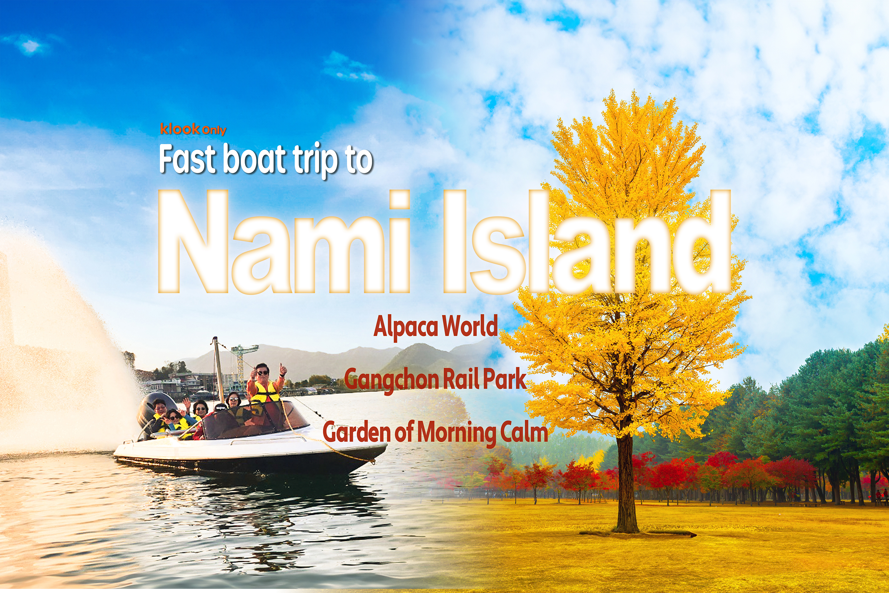 南怡岛 (Nami Island)（快艇）/羊驼/铁路自行车/晨静树木园 (Morning Calm) 私人旅游