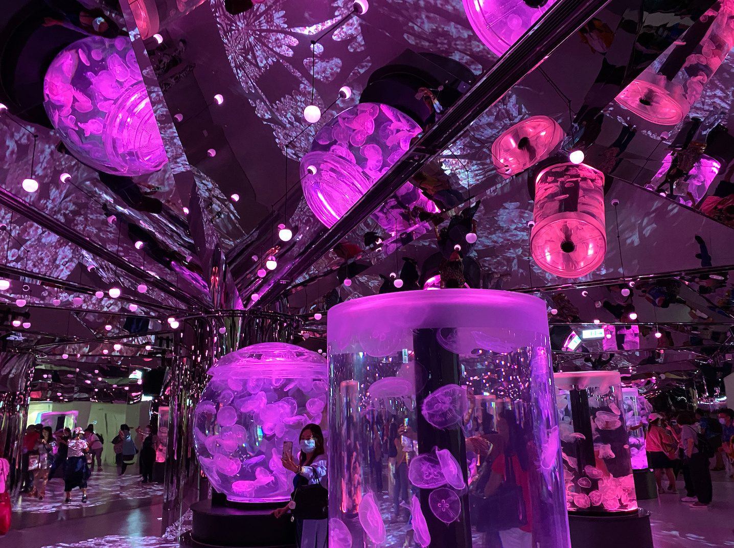 桃园：Xpark水族馆＆华泰名品城＆大溪老街(含门票)