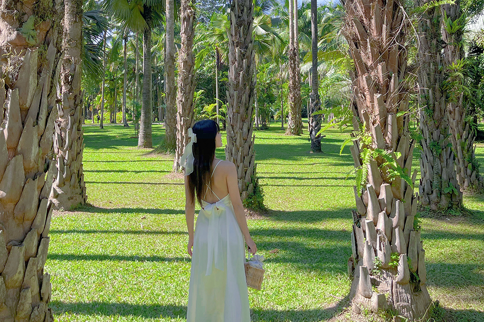 云南奇趣版纳5日（野象谷+中科院植物园+傣族园+雨林探秘+雨林餐+星光夜市）