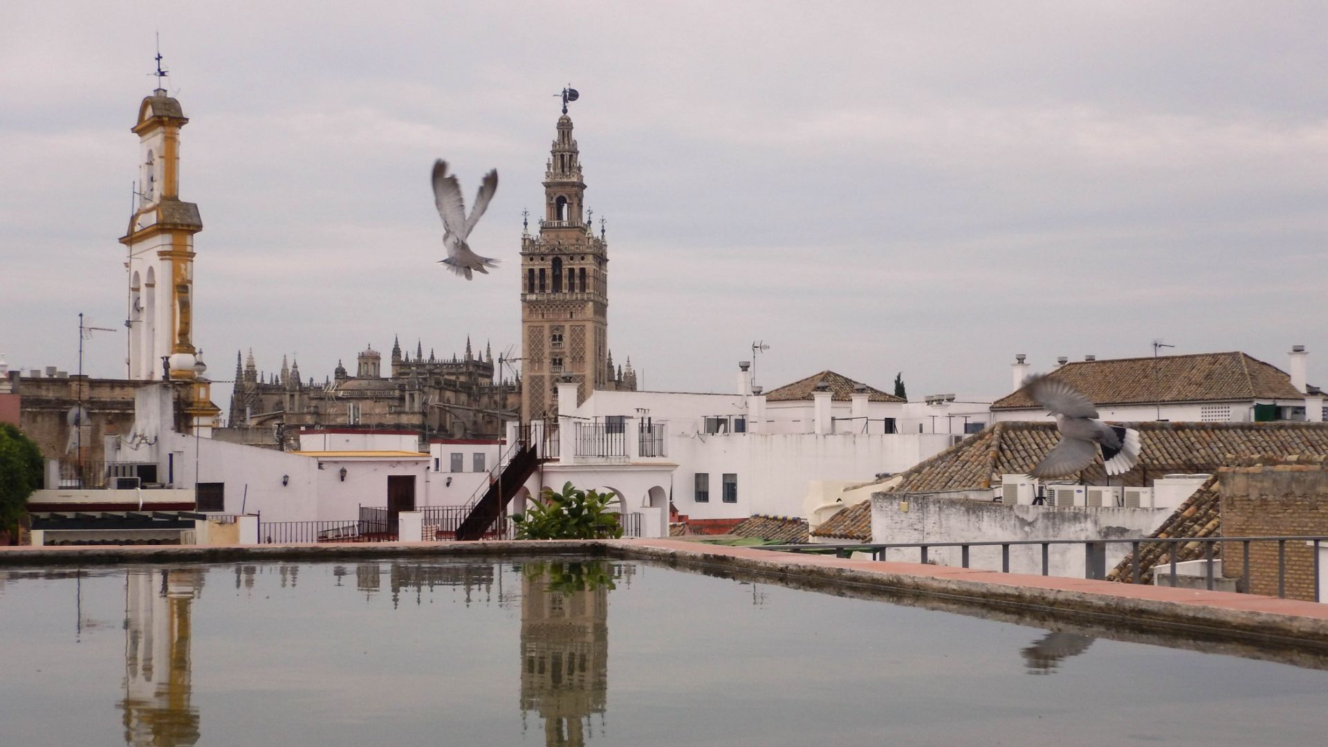 塞维利亚屋顶日落徒步之旅 (Sunset Rooftop Walking Tour in Seville)