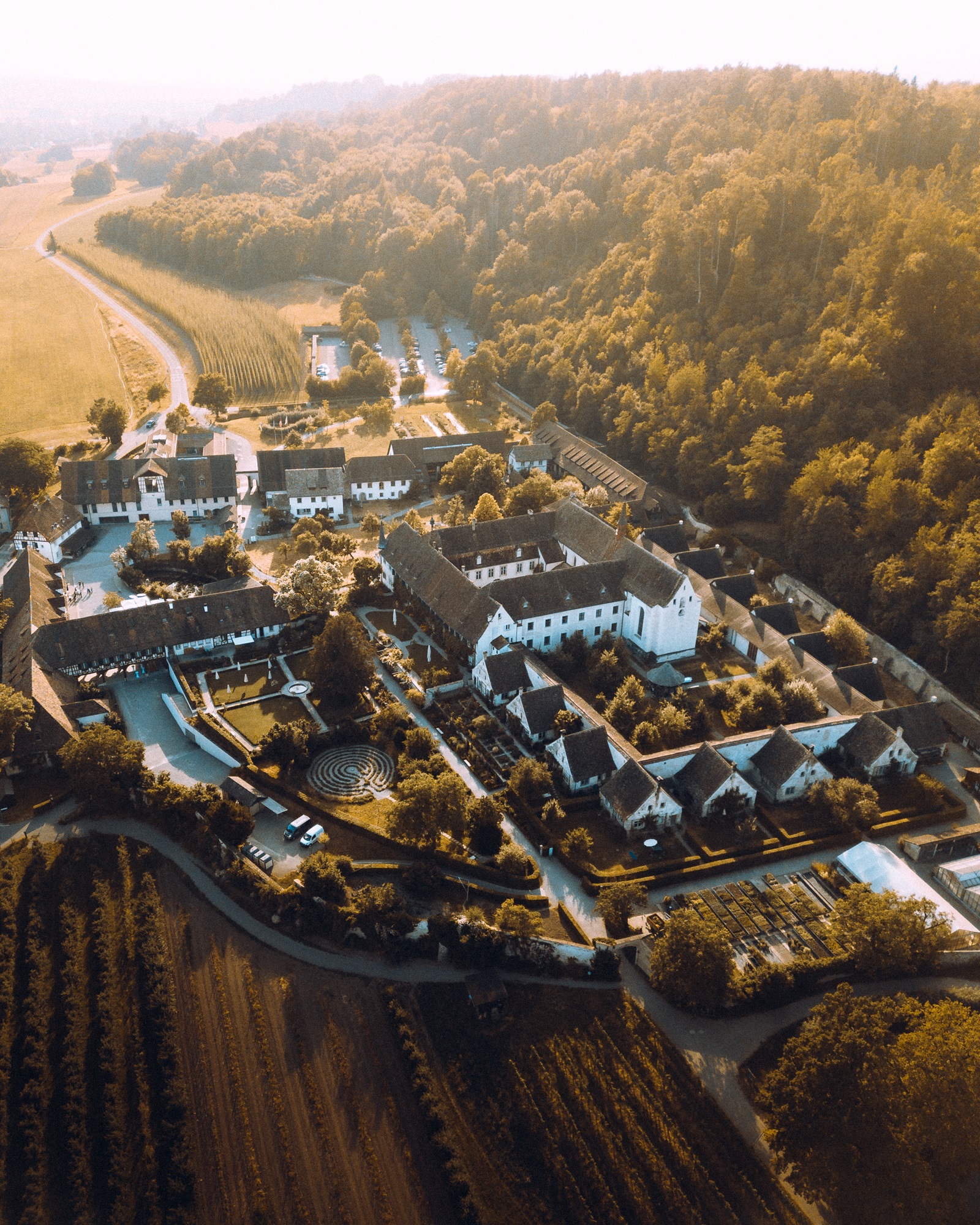 伊廷根修道院 (Kartause Ittingen Monastery) 当地葡萄酒和奶酪品鉴