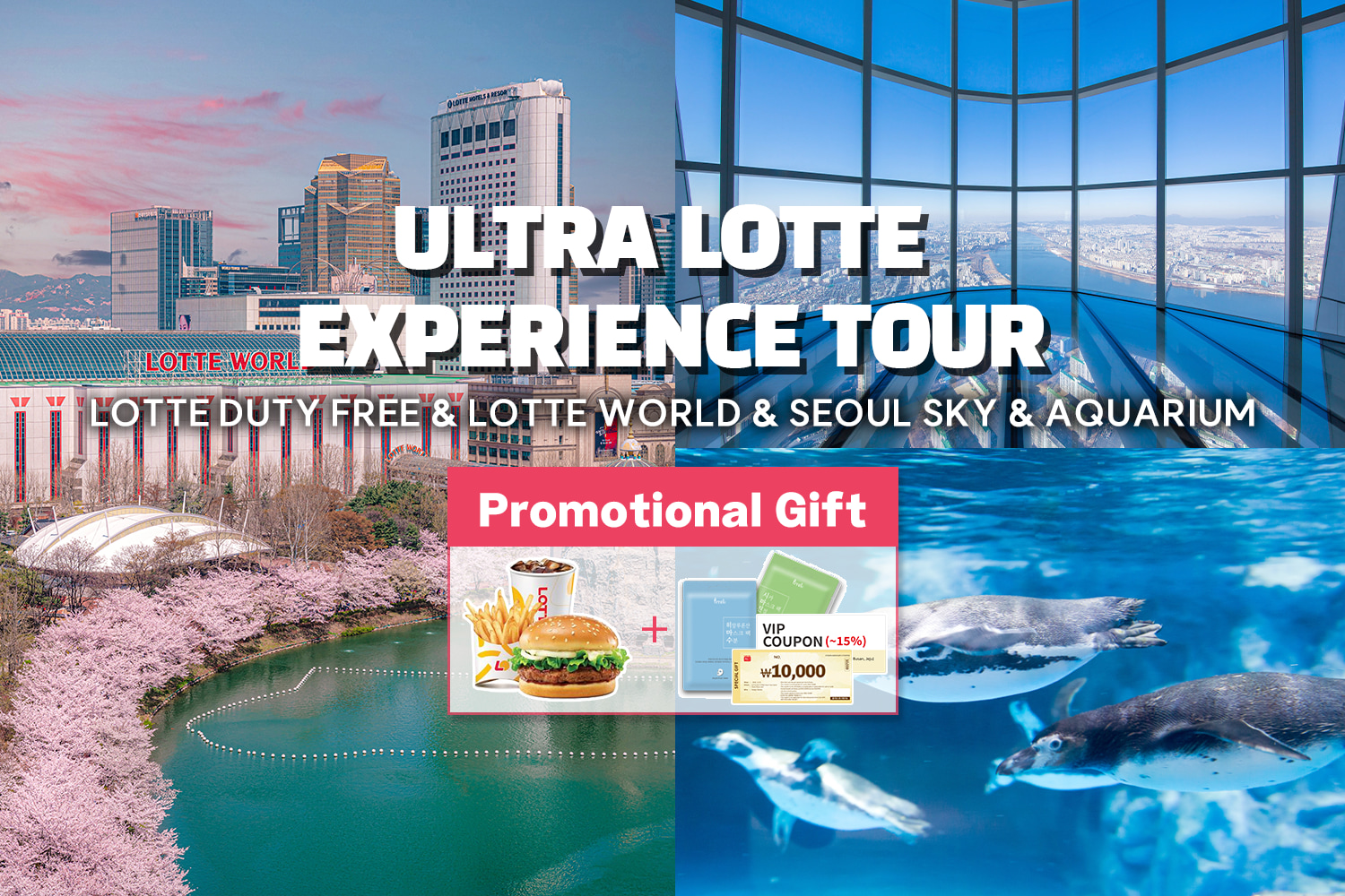 乐天世界深度体验之旅