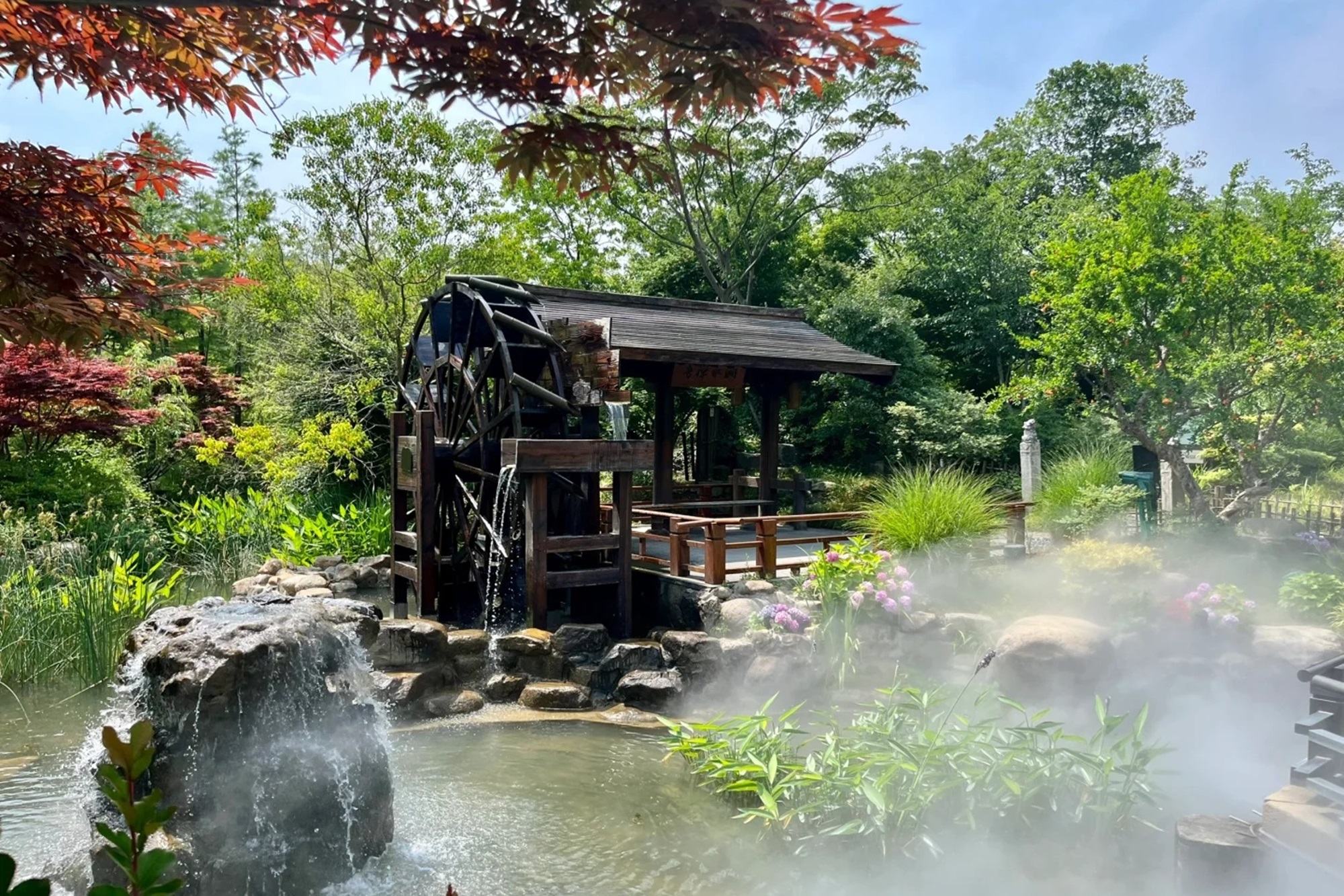 【南京集合上海解散】华东五市6日高端游（上海迪士尼+南京中山陵+无锡+苏州留园+杭州茶园旅拍+无人机&烟花秀+全程住5钻+7大特色餐 )