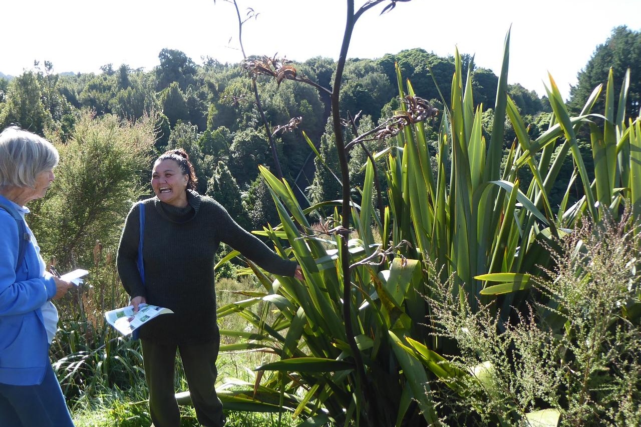 隆歌阿卡劳介绍之旅 (Rongoa Rakau Introduction Tour)