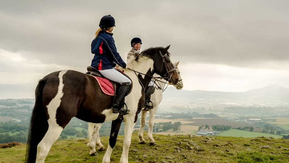 从都柏林出发前往威克洛、格兰达洛和鲍尔斯考特的一日游