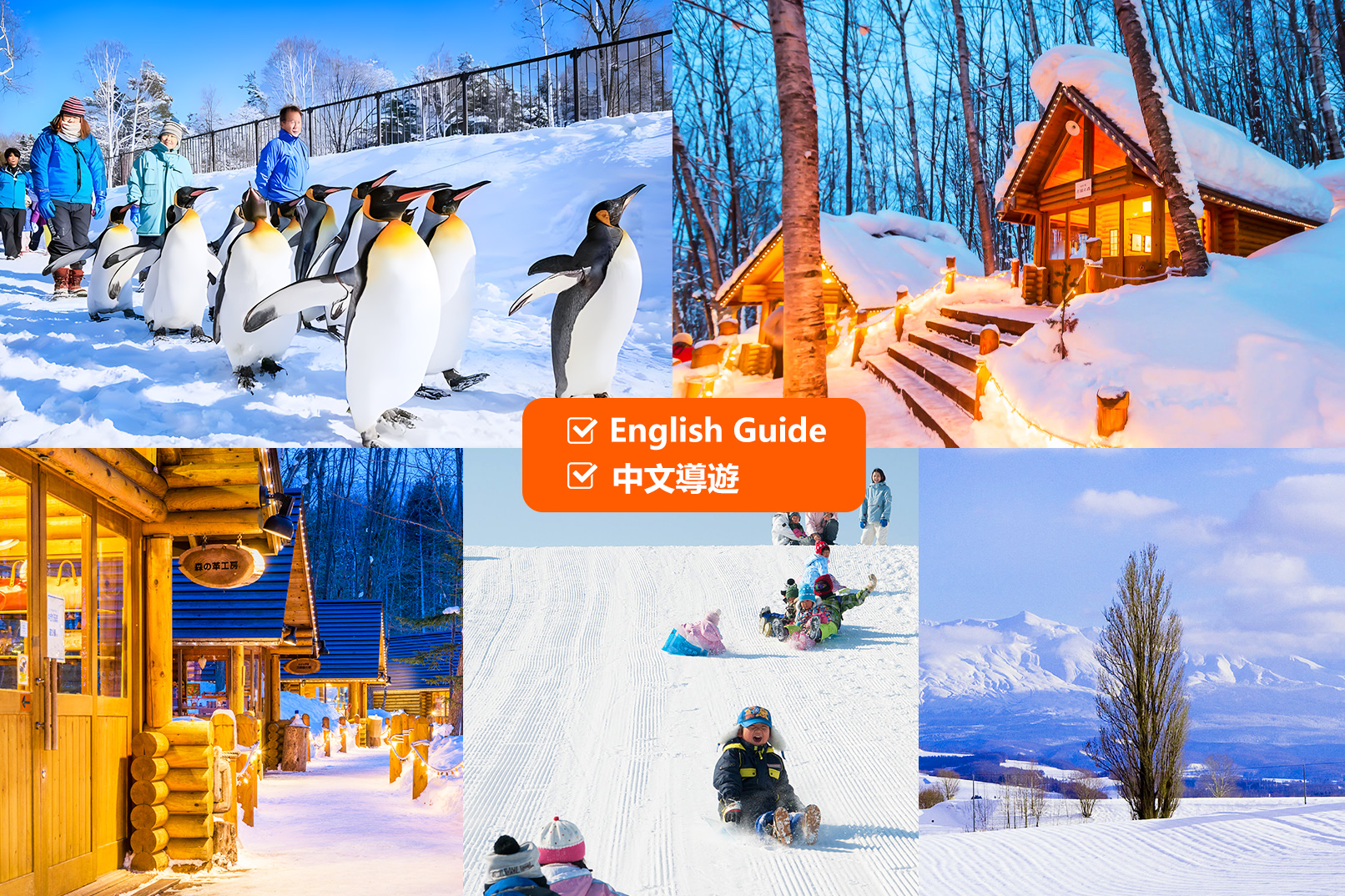 旭山动物园+季节限定行程+森林精灵露台一日游｜札幌出发