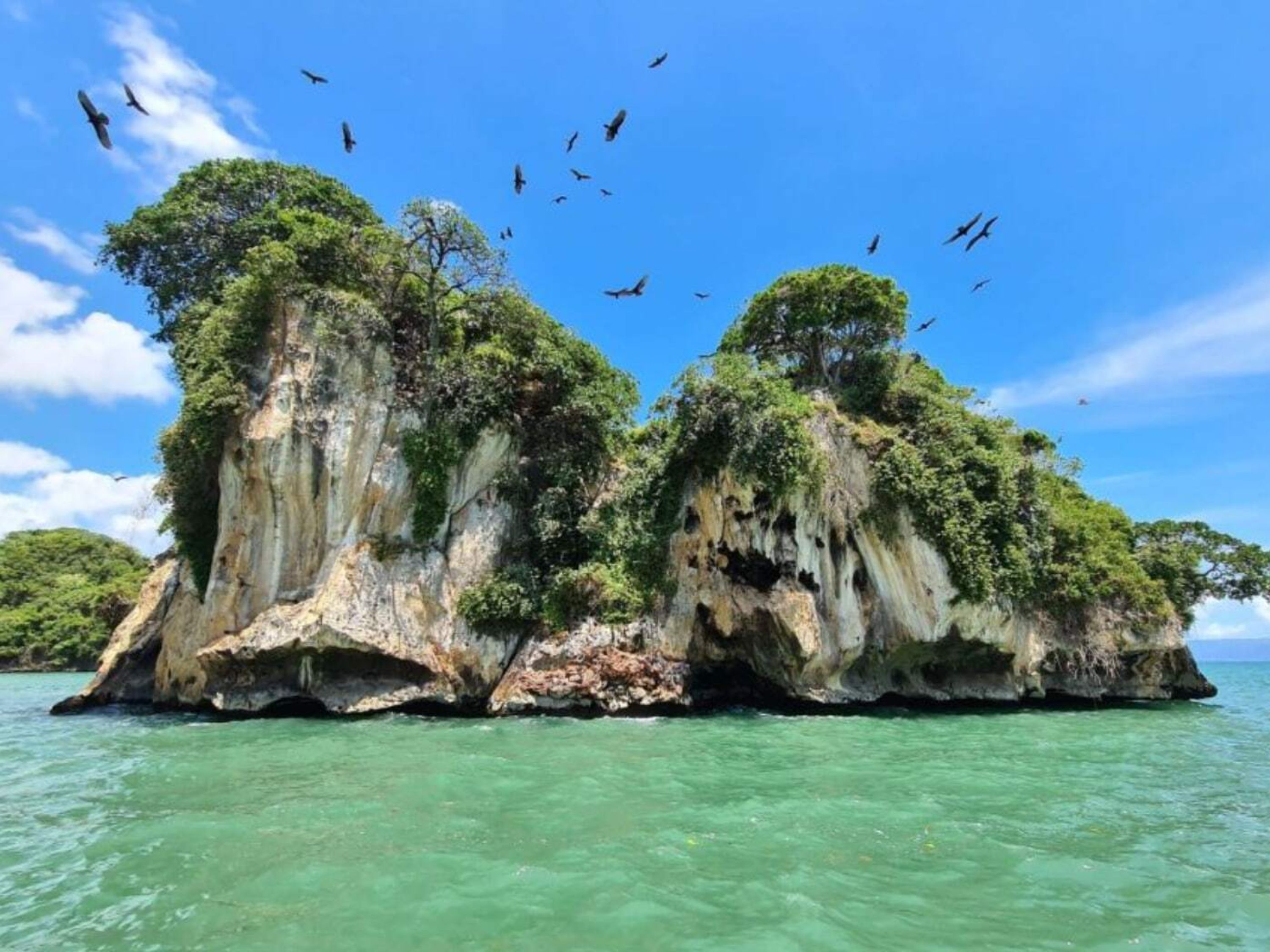 萨马纳洛斯海地塞斯国家公园和卡约莱万塔多之旅