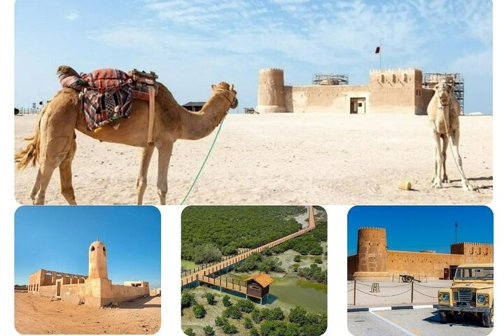 卡达北部私人游：红树林和历史悠久的祖巴拉堡 (Private North Qatar Tour: Mangroves & Historic Al Zubarah Fort)